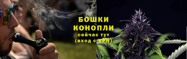 сатива Заводоуковск