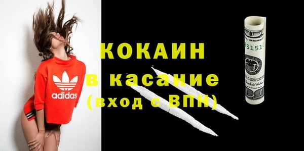 сатива Заводоуковск