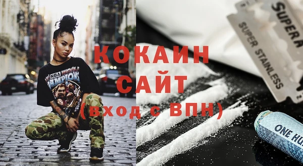 сатива Заводоуковск