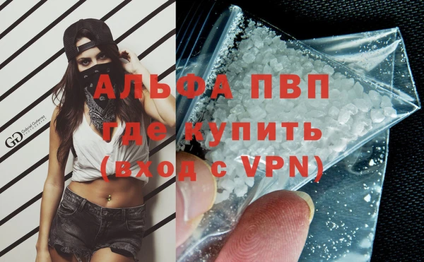 сатива Заводоуковск