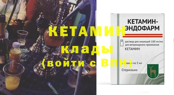 сатива Заводоуковск