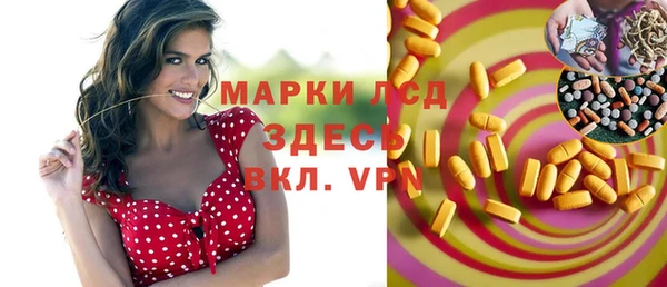 сатива Заводоуковск