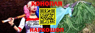 гидра Краснодар