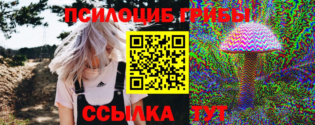 Псилоцибиновые грибы MAGIC MUSHROOMS Славянск-на-Кубани
